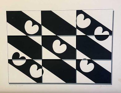 Jan van Tuinen - Friese vlag (Negatief/positief)