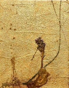 Bert van Santen - Gold IV