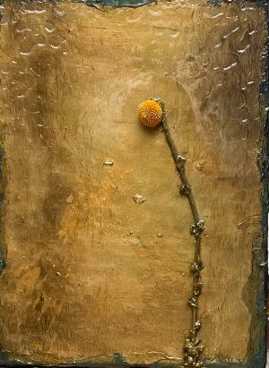 Bert van Santen - Gold Xll