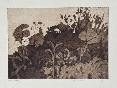 Wim van der Veer - Stinsenplanten II