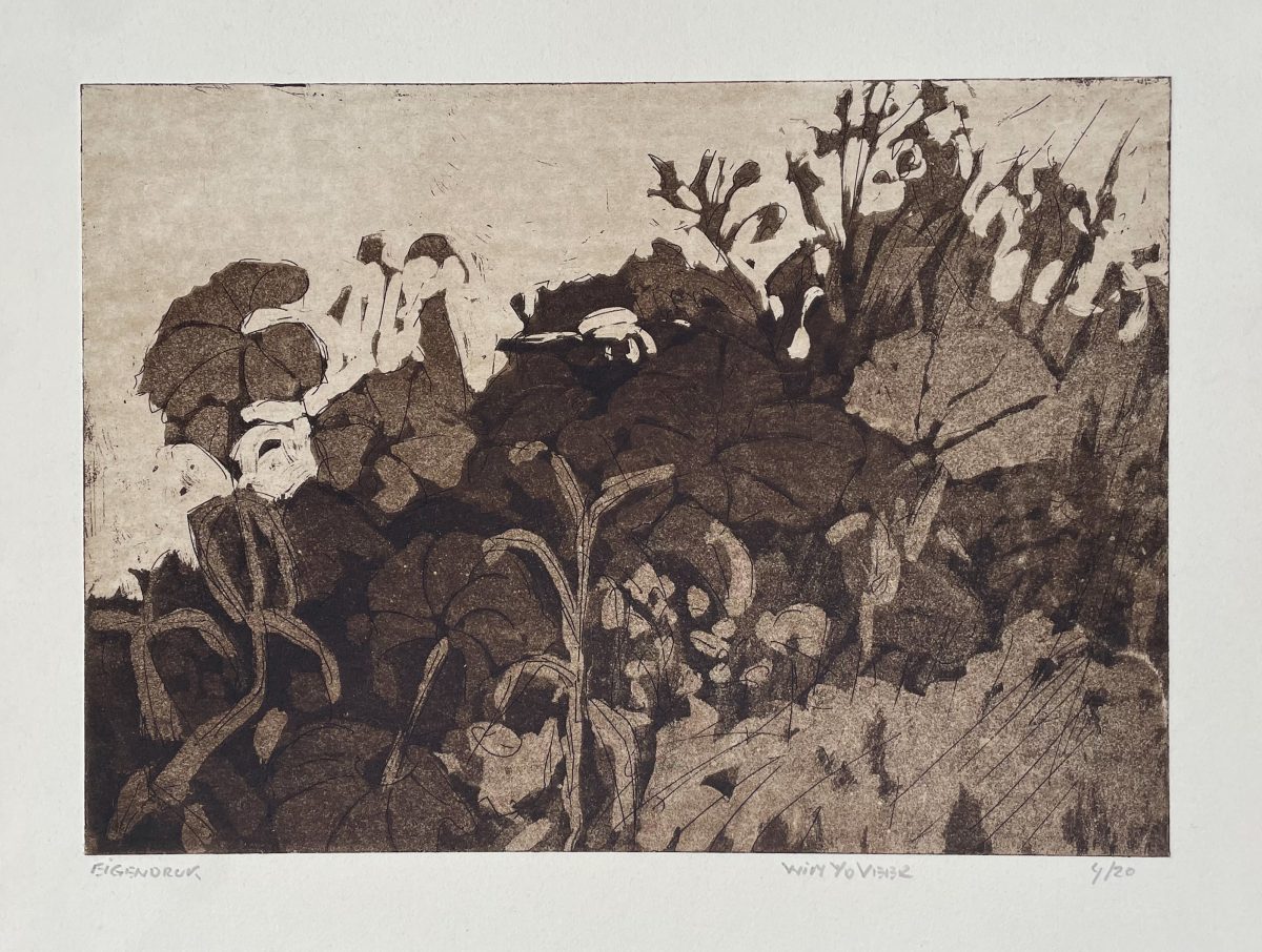 Stinsenplanten II