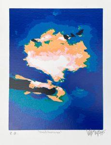 Wout van der Vet (Derox) - Mediterranee